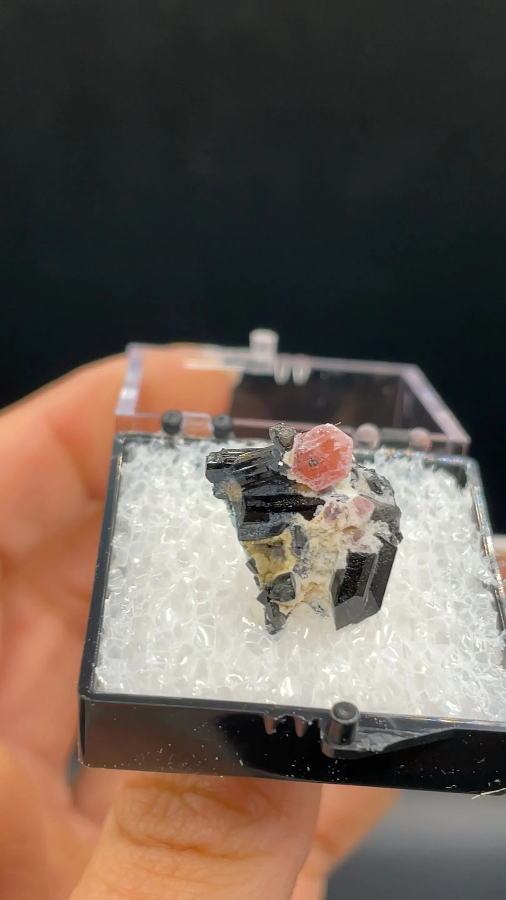 Pezzottaite with Schorl - image 2