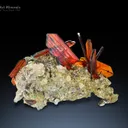 Phantom Brookite Cluster on Matrix from Baluchistan Pakistan - image 1