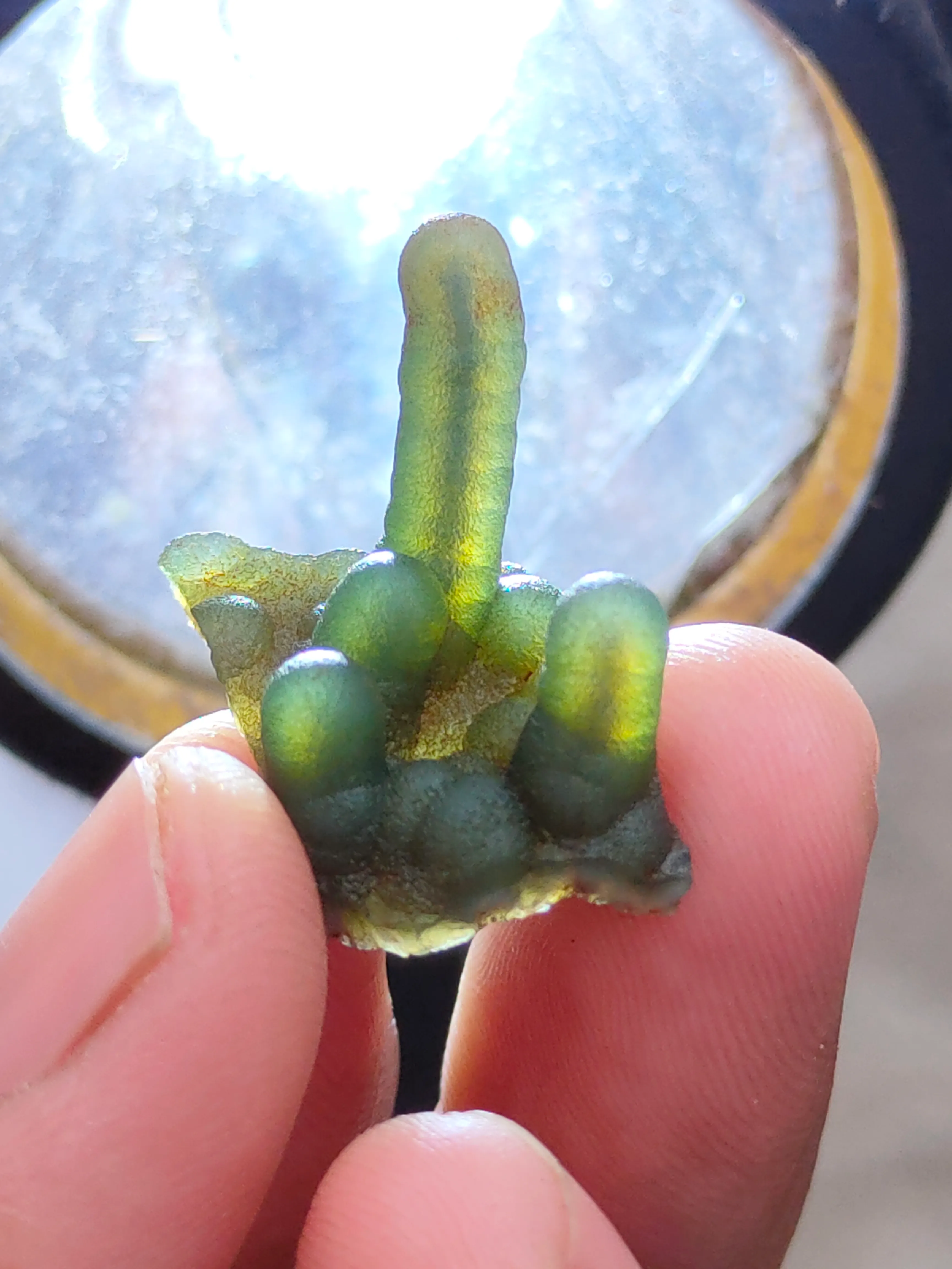 Phantom Green Chalcedony  Natural Mineral specimen - image 2