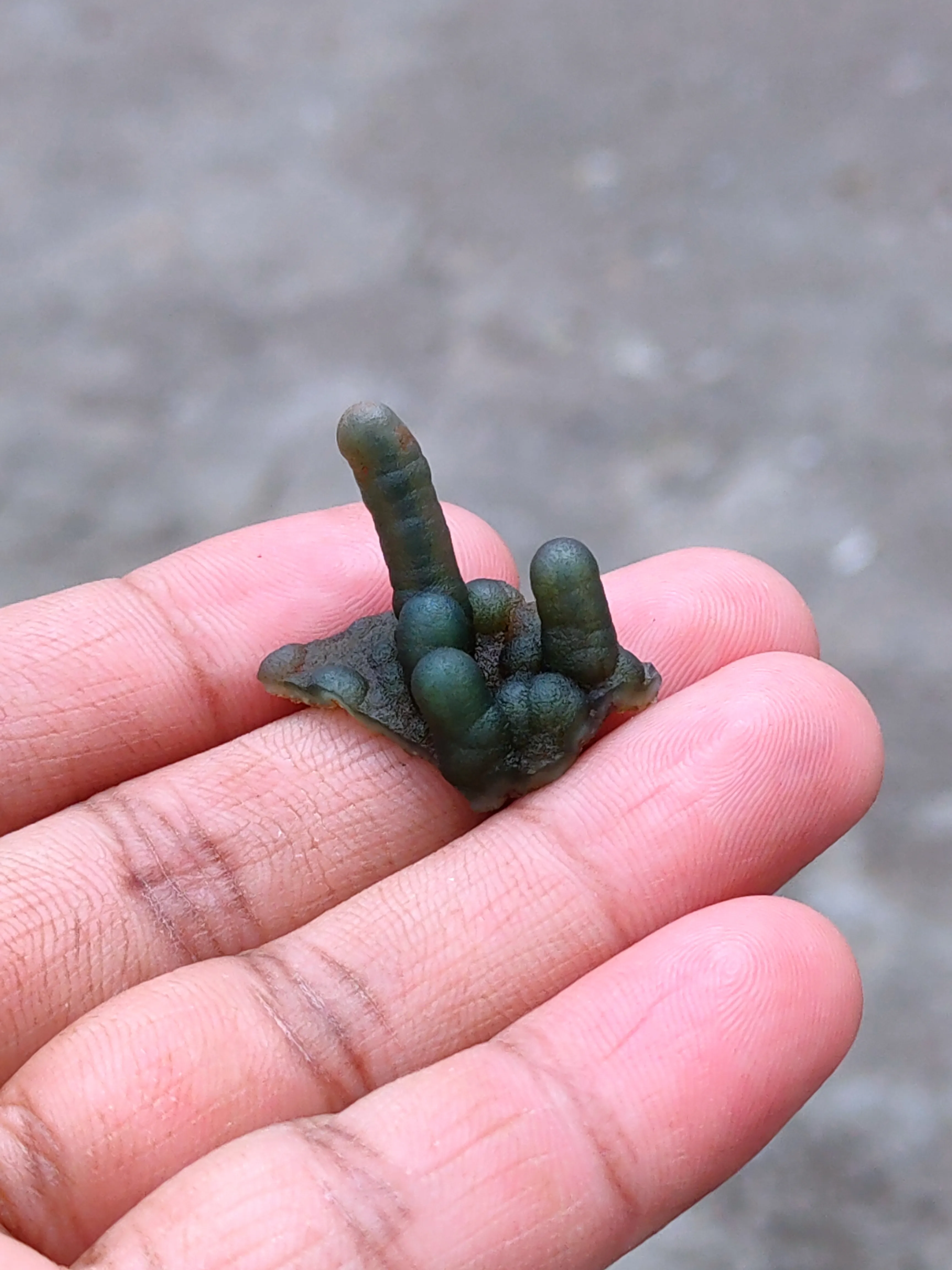 Phantom Green Chalcedony  Natural Mineral specimen - image 7