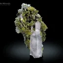 Phantom Inclusion Chlorine Quartz with Epidote from Pakistan - image 3