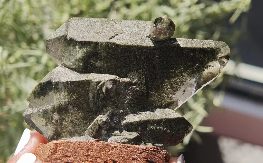 Phantom Quartz with Chlorite from Plattenberg, Vals, Surselva, Switzerland - image 2