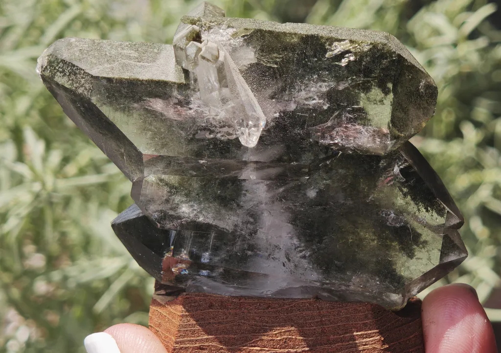 Phantom Quartz with Chlorite from Plattenberg, Vals, Surselva, Switzerland image