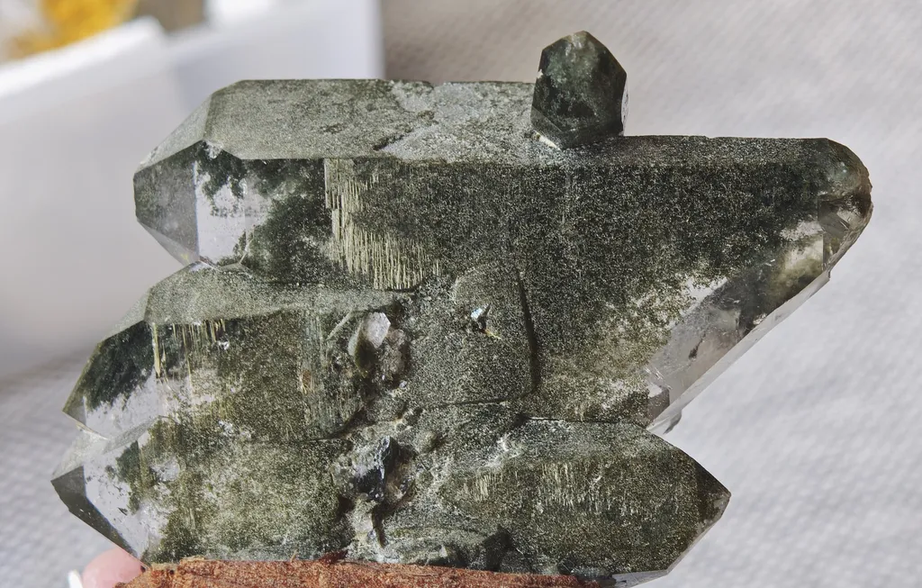 Phantom Quartz with Chlorite from Plattenberg, Vals, Surselva, Switzerland - image 5