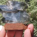 specimen video