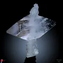 Phantom Terminal Apophyllite With Chalcedony - image 2