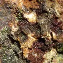 Pharmacosiderite, Scorodite - image 3