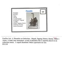 Phenakite - image 5