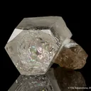 Phenakite (DT) on Smoky Quartz - image 5