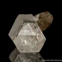 Phenakite (DT) on Smoky Quartz - image 7