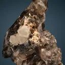 Phenakite on Quartz var. Smoky - image 5