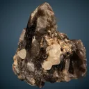 Phenakite on Quartz var. Smoky - image 1