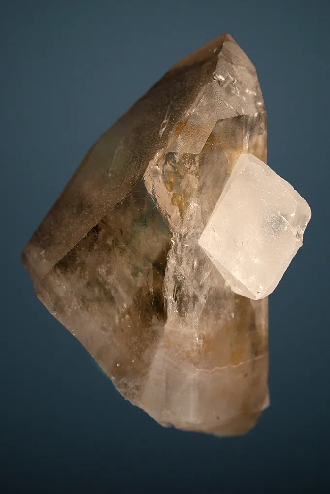 Phenakite on Quartz var. Smoky - image 4