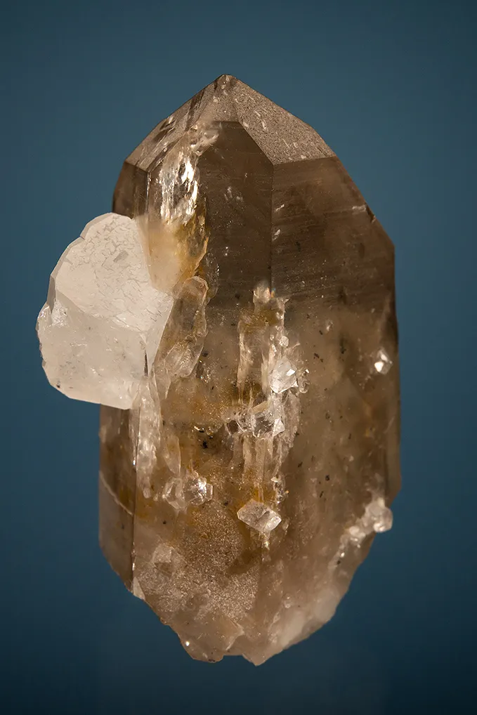 Phenakite on Quartz var. Smoky image