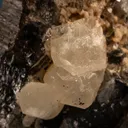 Phenakite on Quartz var. Smoky - image 2