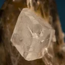Phenakite on Quartz var. Smoky - image 2