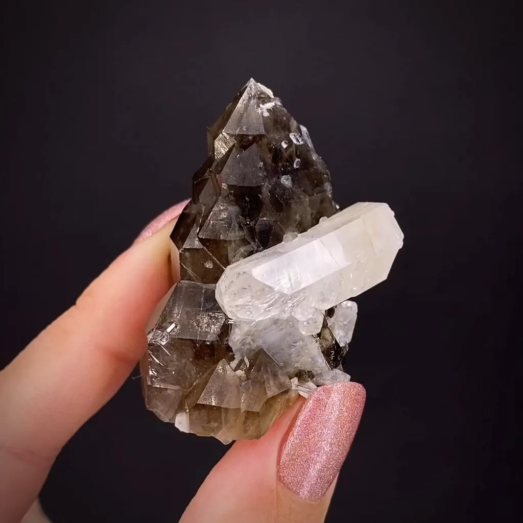 Phenakite on Smoky Quartz image