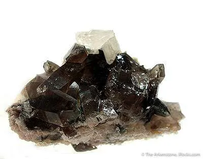 Phenakite (Twinned) on Smoky Quartz - image 1