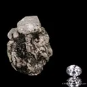 Phenakite - Type Locality (Rough & Cut Set) - image 1