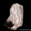 Phenakite with Smoky Quartz - image 4