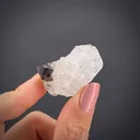 Phenakite with Smoky Quartz - image 2