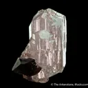 Phenakite with Smoky Quartz - image 1