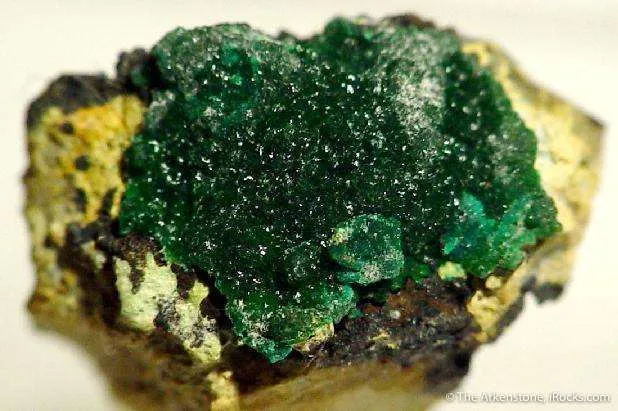 Philipsburgite on Quartz Point image