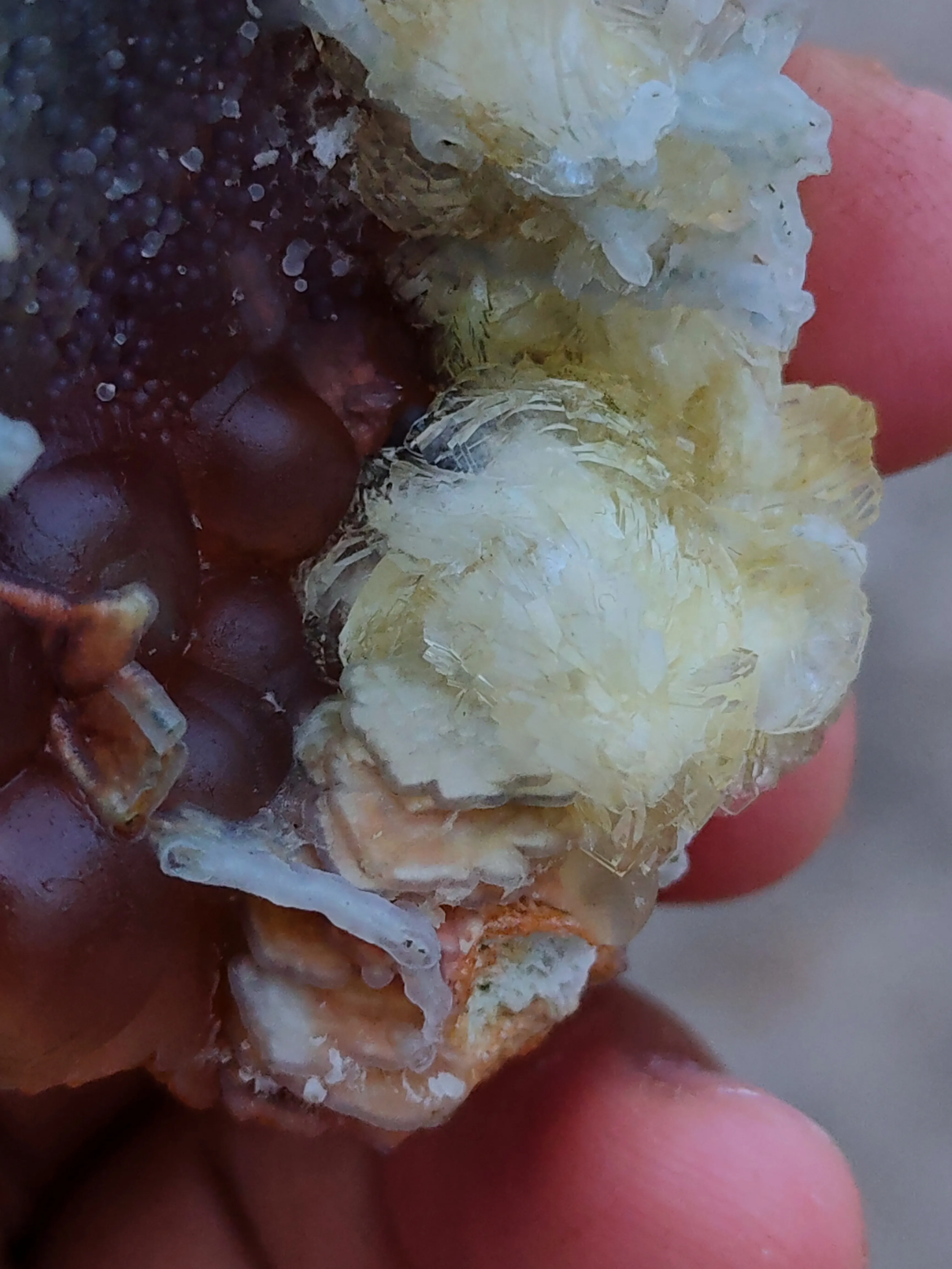 Phillipsite with Fluorite on Chalcedony. - image 9