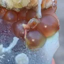 Phillipsite with Fluorite on Chalcedony. - image 7