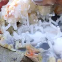 Phillipsite with Fluorite on Chalcedony. Natural Mineral specimen - image 7