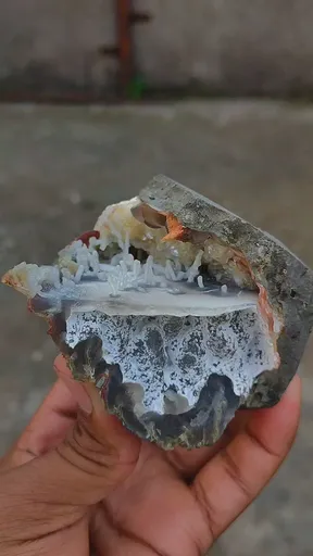 specimen video