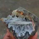specimen video