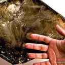 Phlogopite - image 2