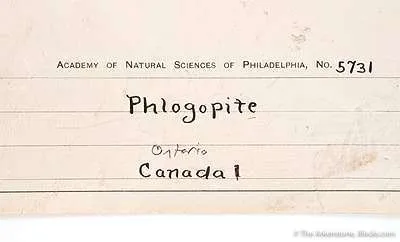 Phlogopite - image 3