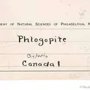 Phlogopite - image 3