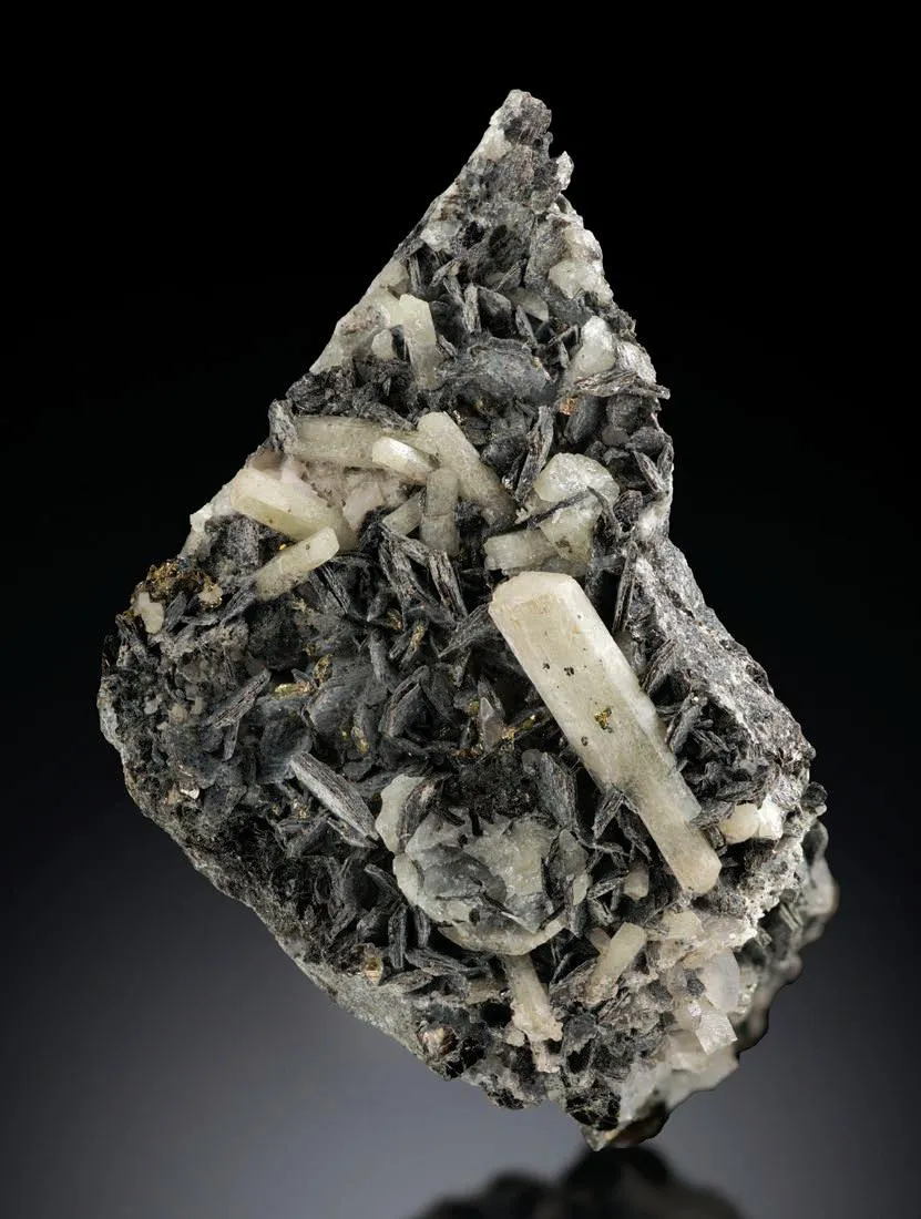 Phlogopite, Fluorapatite - image 1