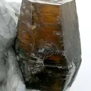 Phlogopite in Calcite - image 3