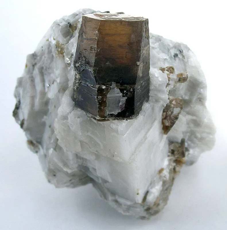 Phlogopite in Calcite image