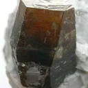Phlogopite in Calcite - image 4