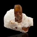 Phlogopite on Calcite - image 1