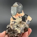 Phlogopite with Fluorapatite, Calcite - image 1