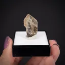 Phosgenite from Monteponi Mine, Sardinia, Italy - image 2