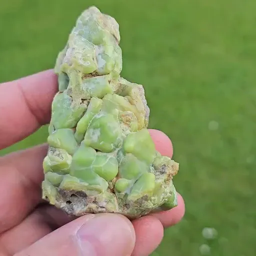 specimen video