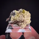 Phosphohedyphane with Wulfenite - image 2