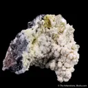 Phosphohedyphane with Wulfenite - image 1