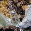 Phosphophyllite - image 2