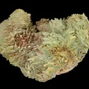 Phosphophyllite - image 1