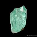 Phosphophyllite cluster - image 2