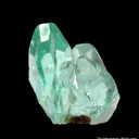 Phosphophyllite cluster - image 6