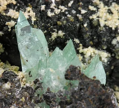 Phosphophyllite image
